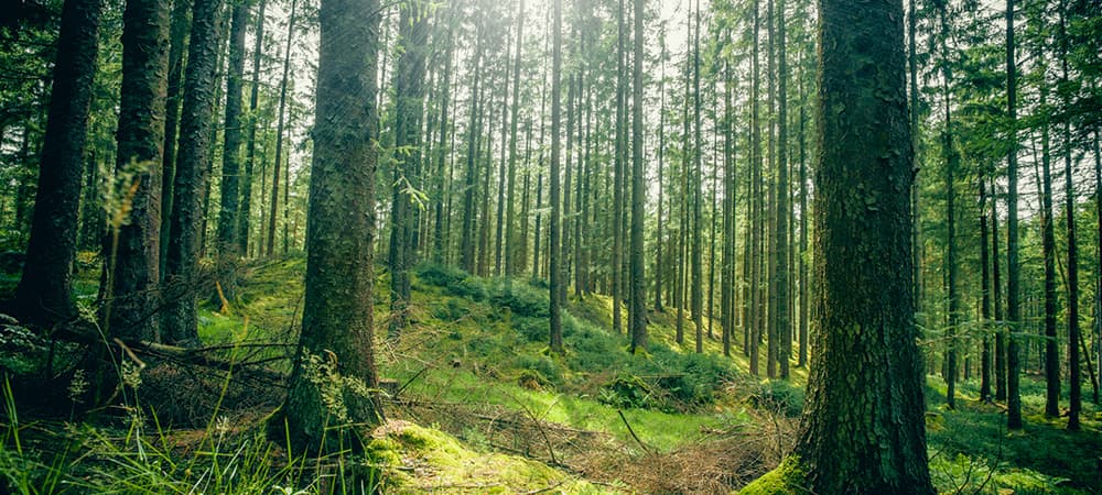 岐阜県産材を活用した地産地消の取り組み