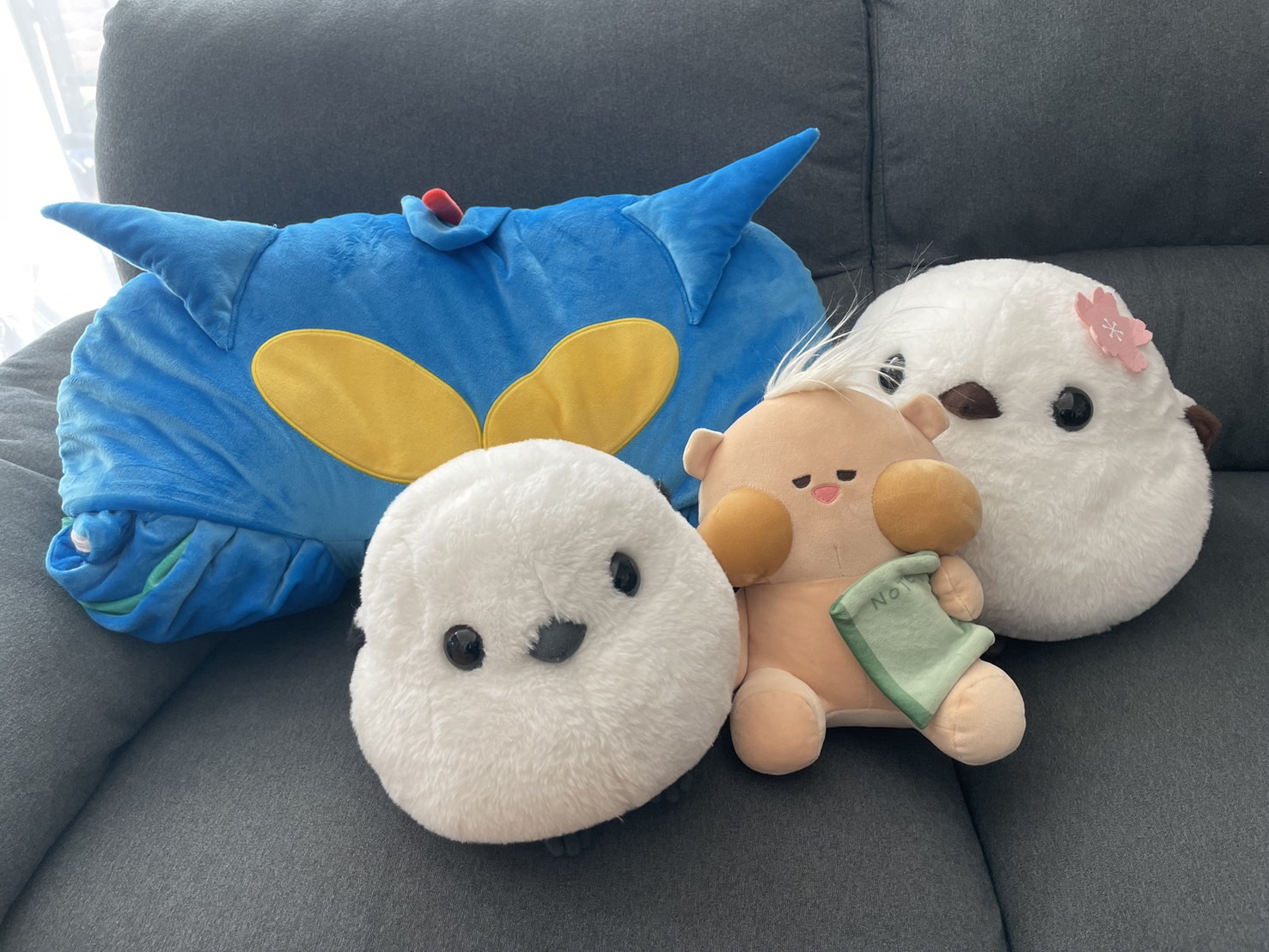 鳥の名前教えてください。