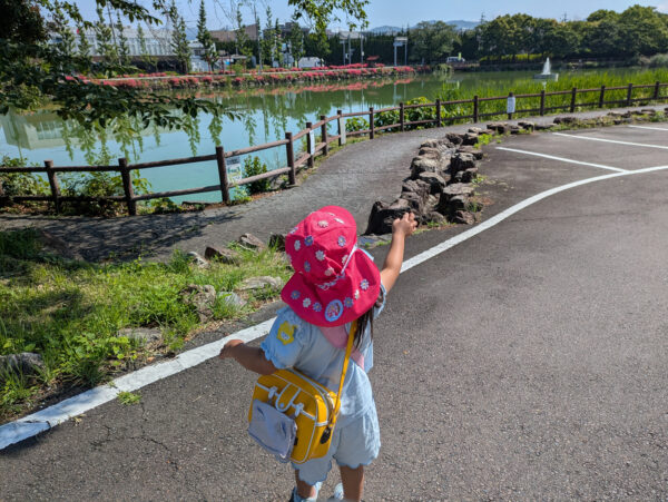 朝の大冒険