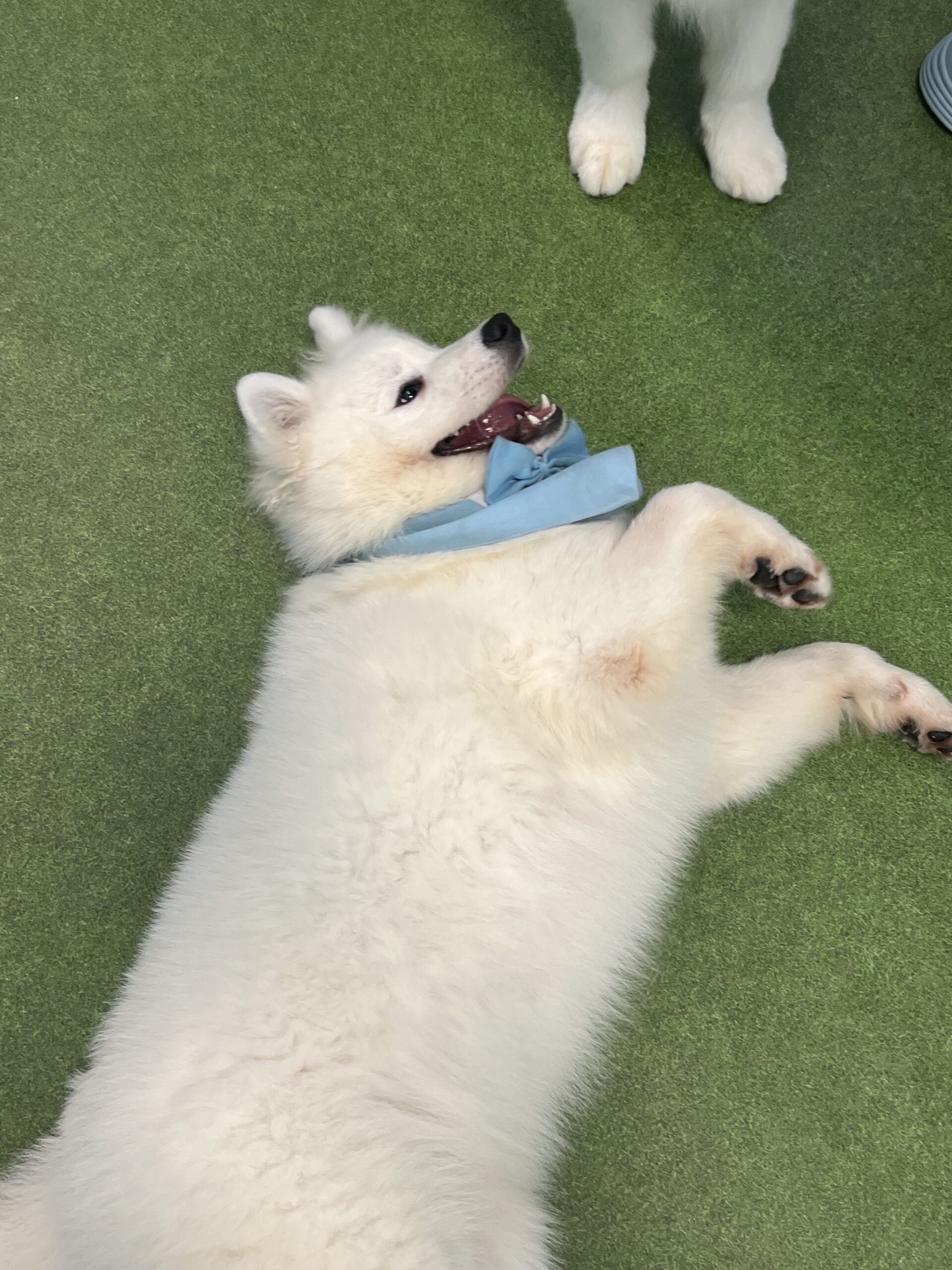 初めまして！