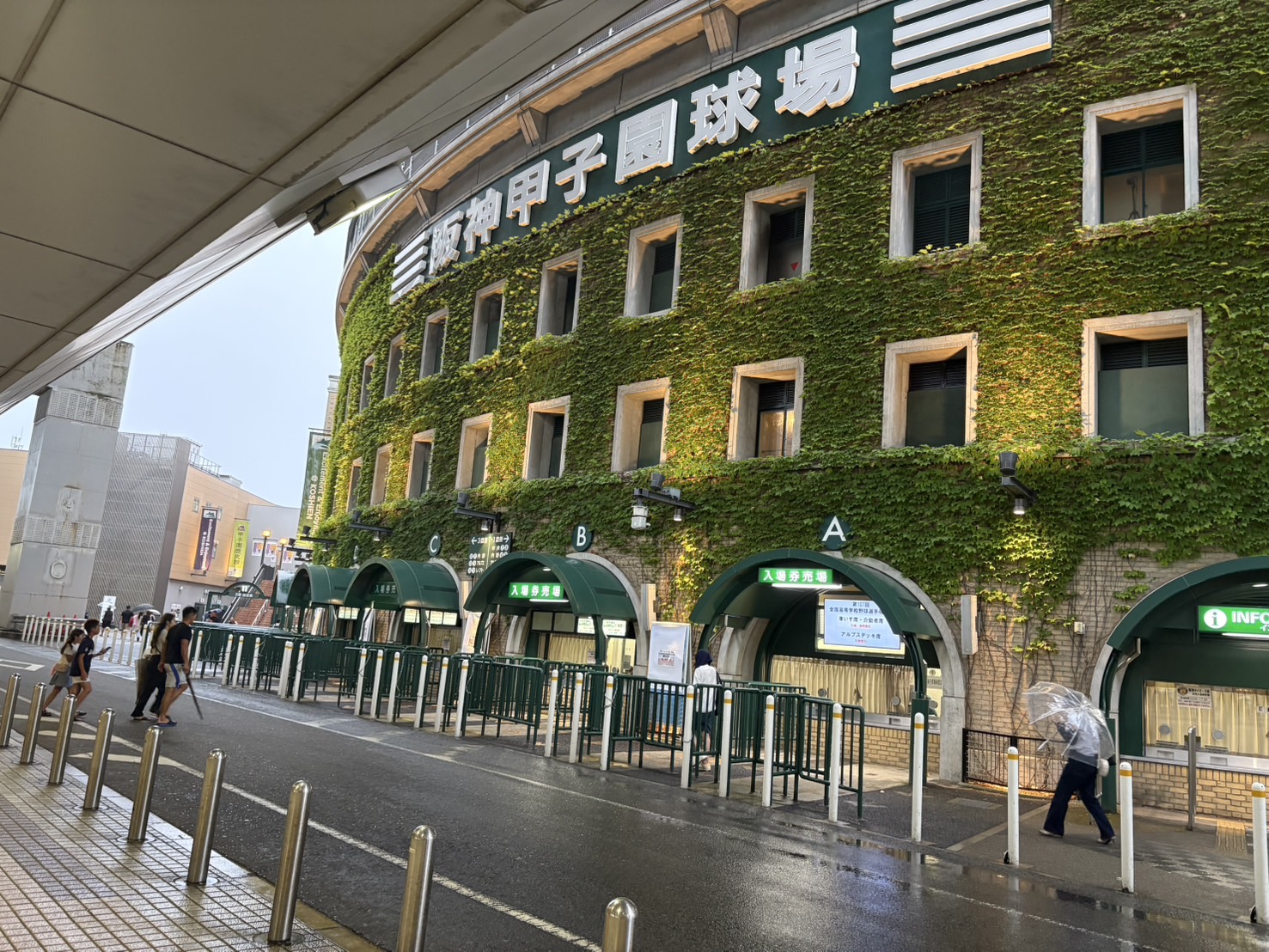 夏の思い出