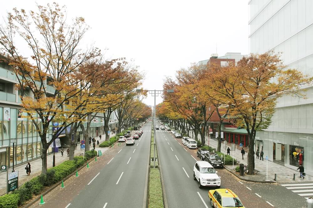 表参道