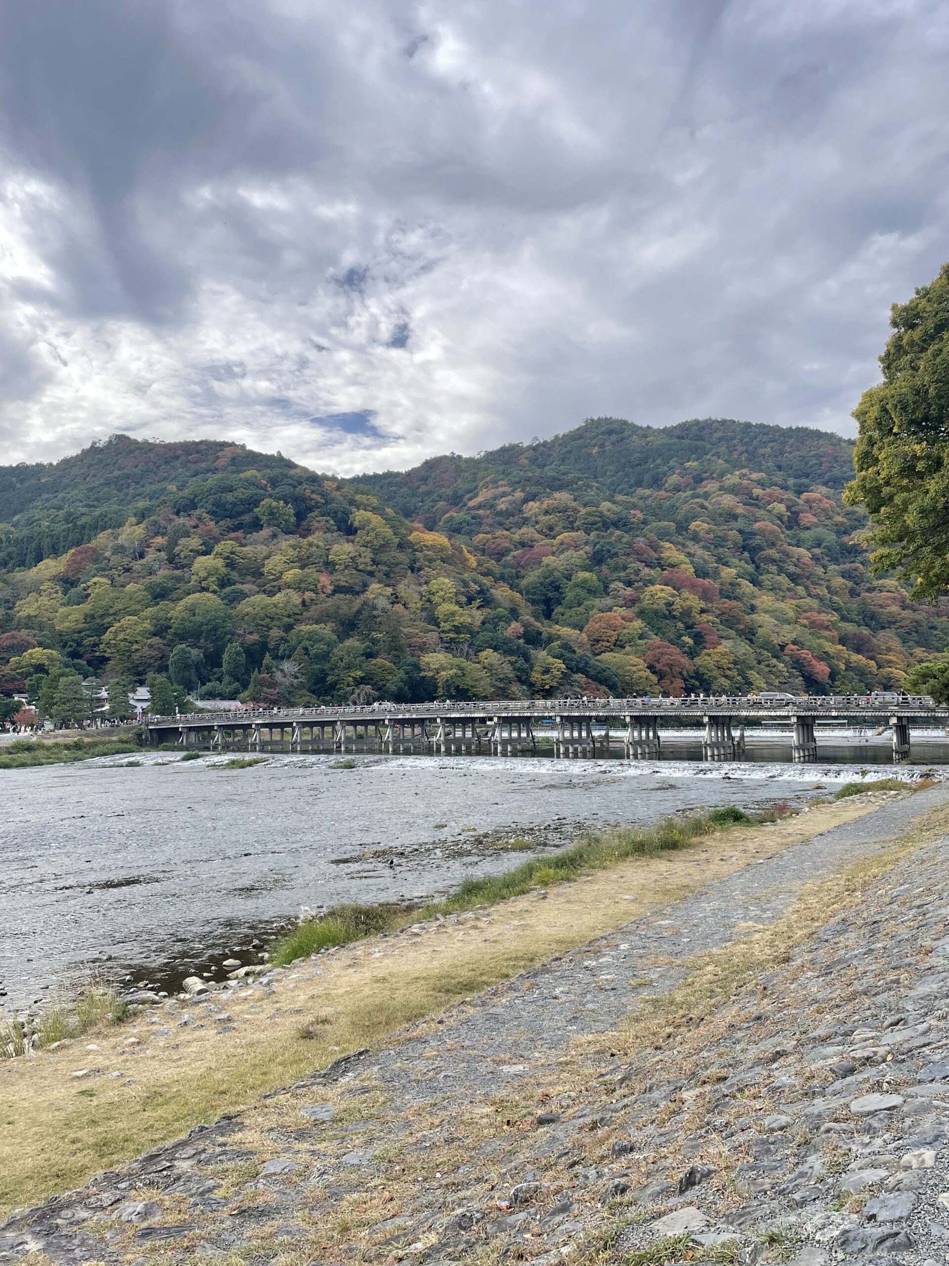 紅葉？ドライブ