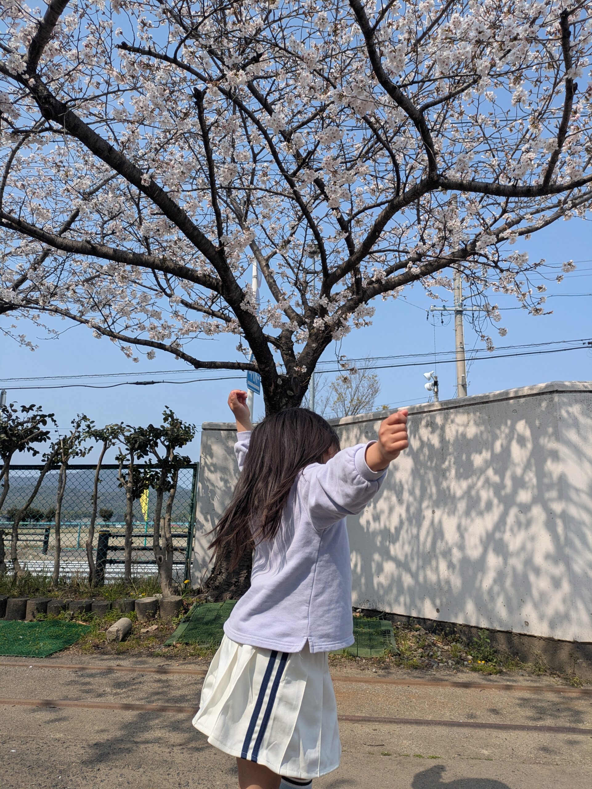 新年度スタート🌸