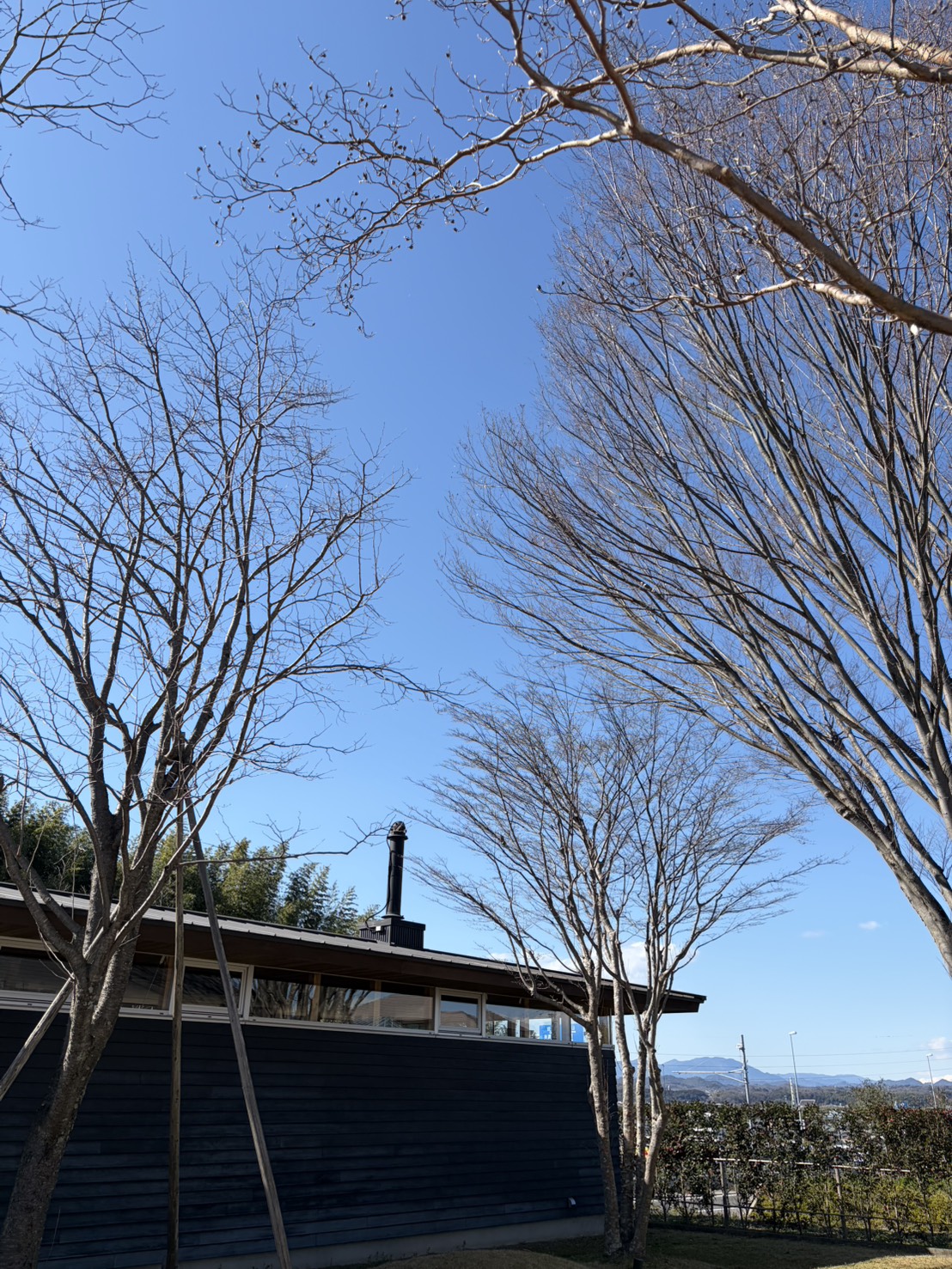 姉には頭が上がりません。