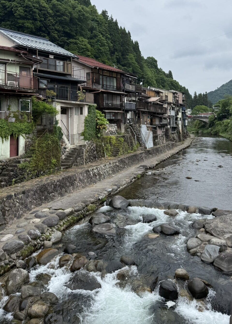 「涼」をもとめて。
