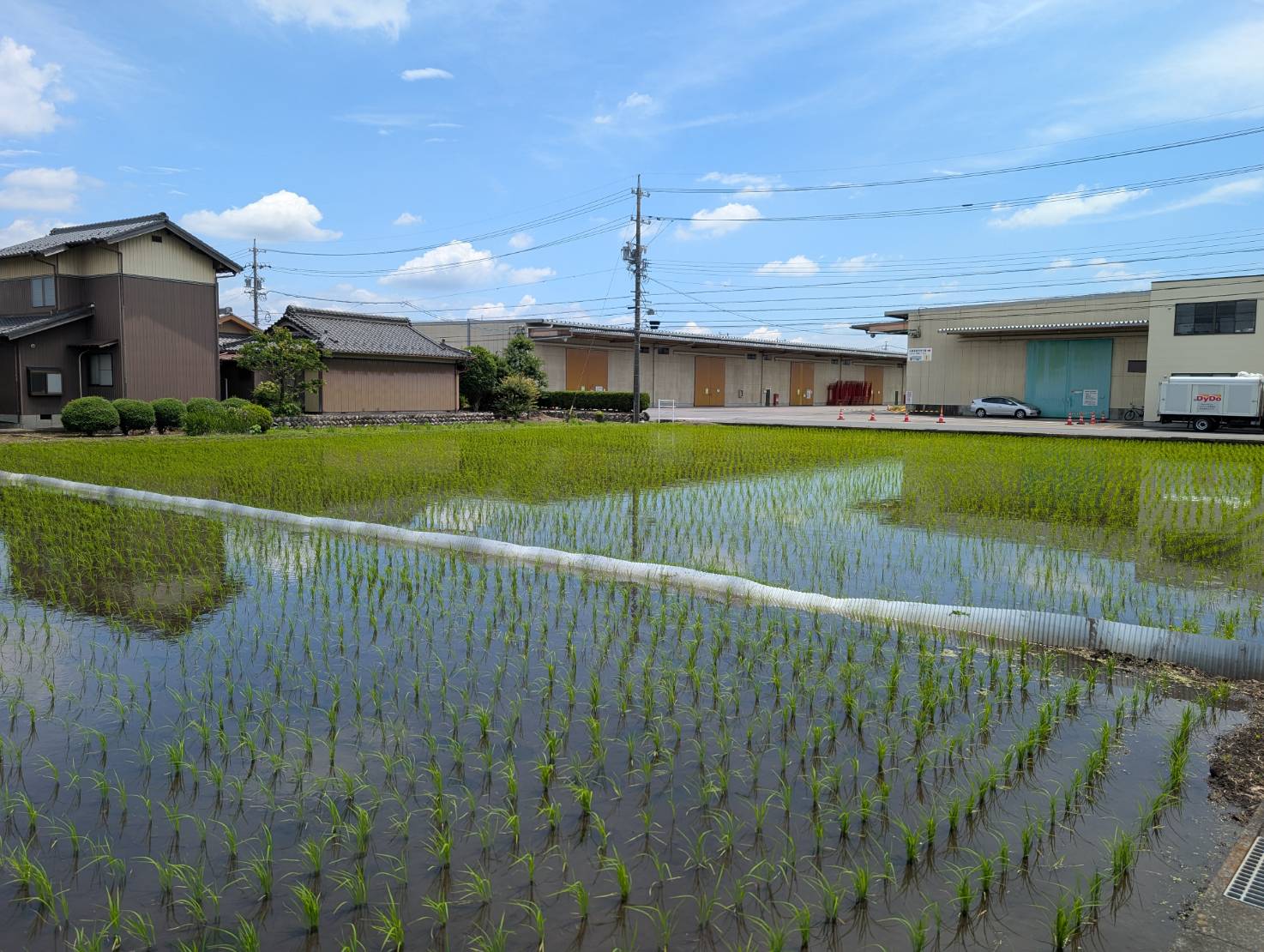 グラフィカルな風景