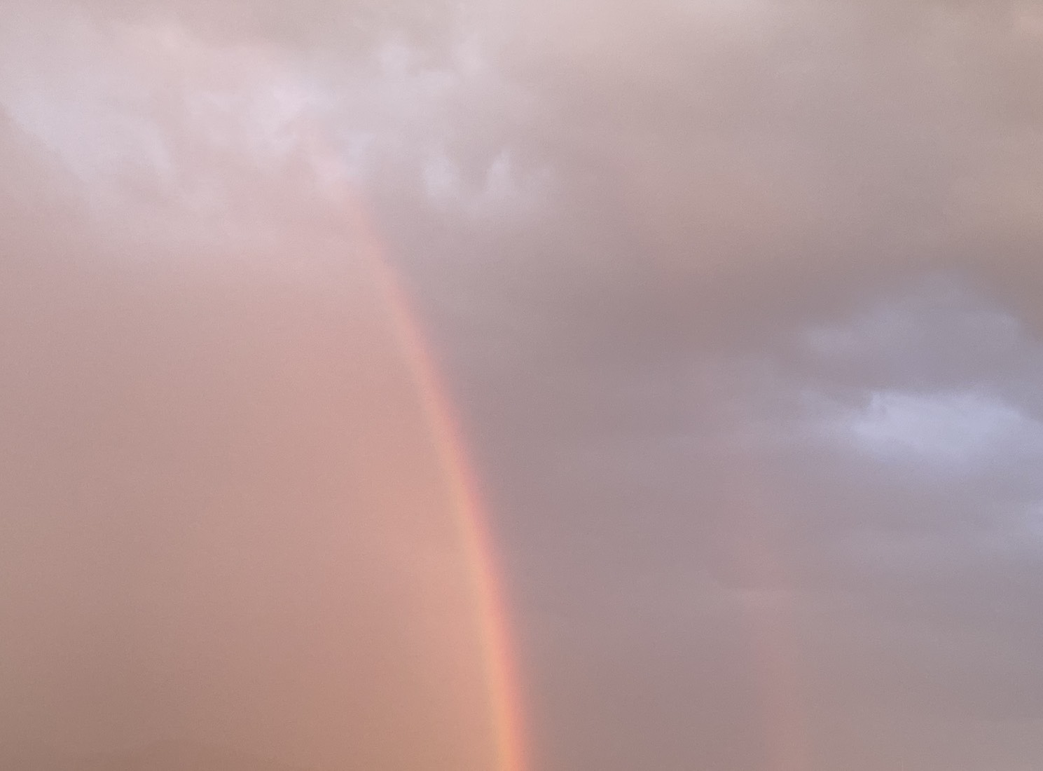虹🌈
