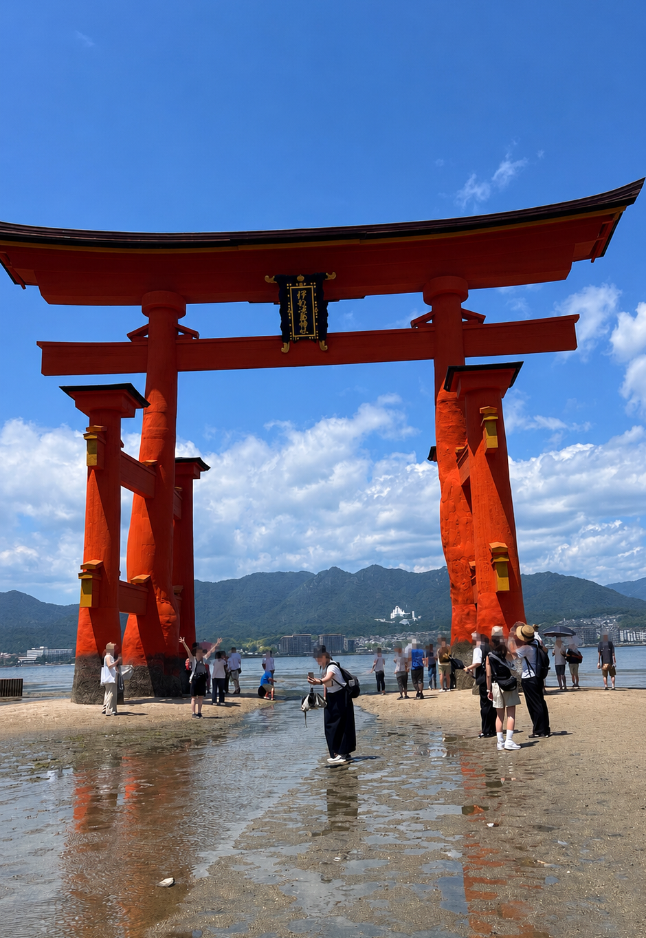 新たな景色