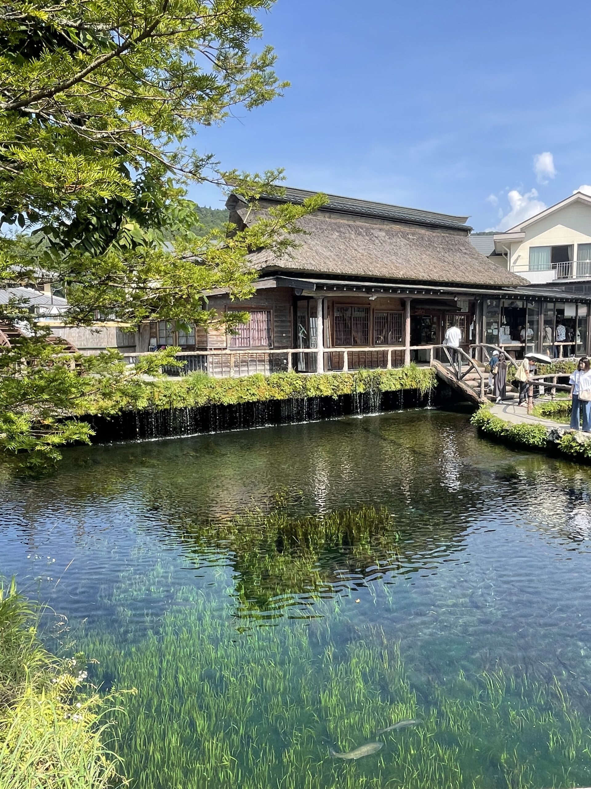 忍野八海・箱根の旅