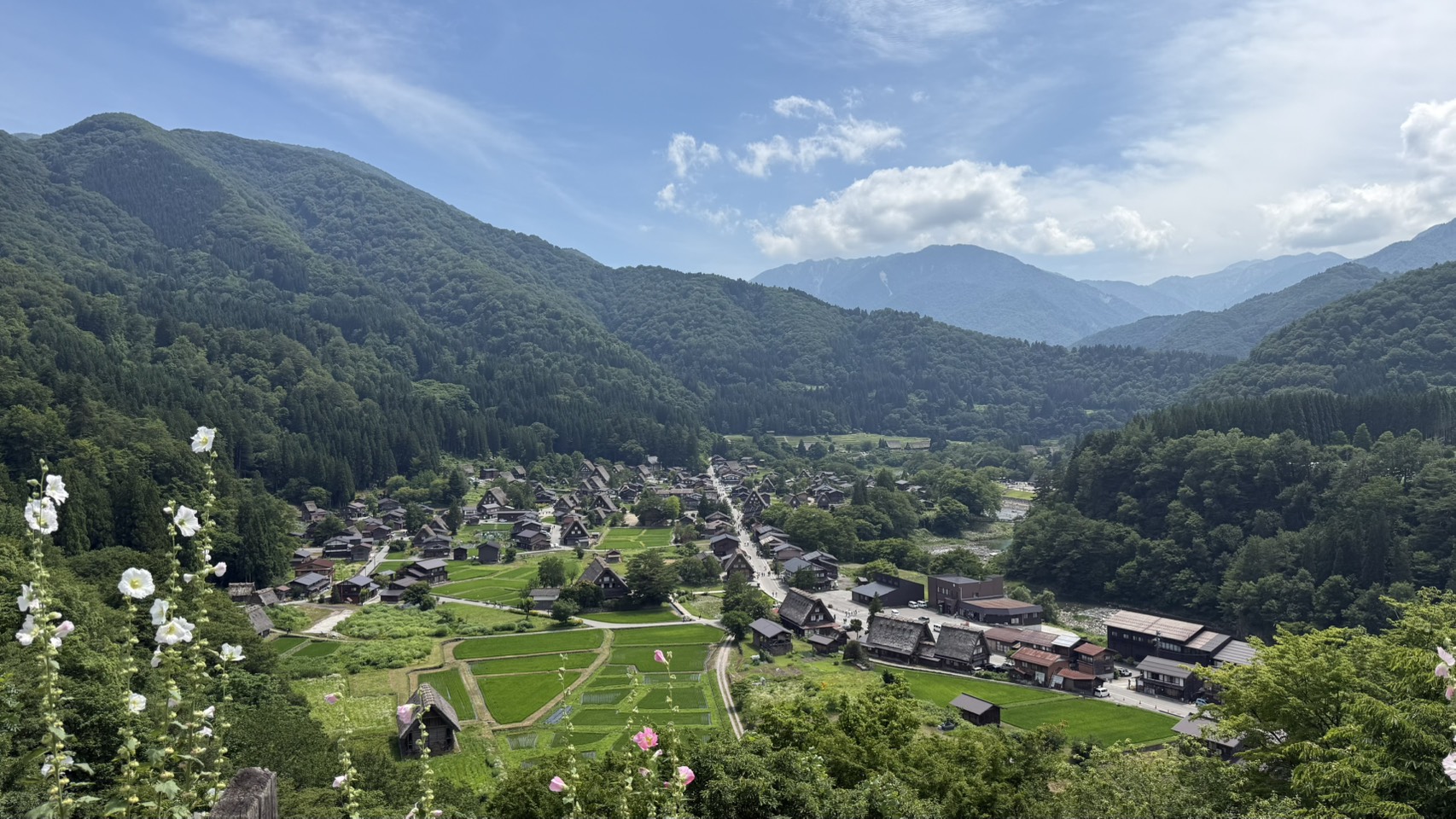 夏の白川郷