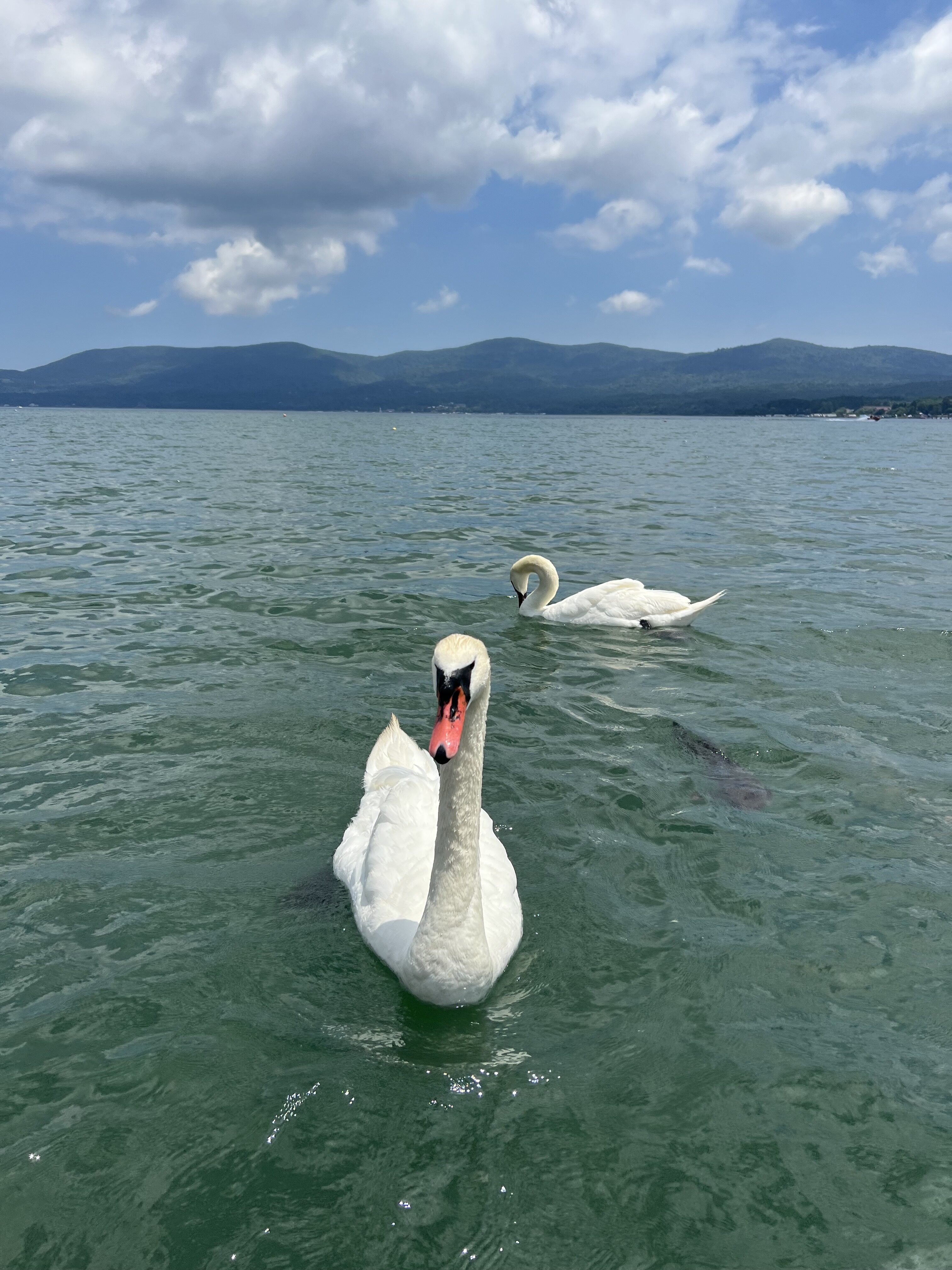 河口湖での出会い