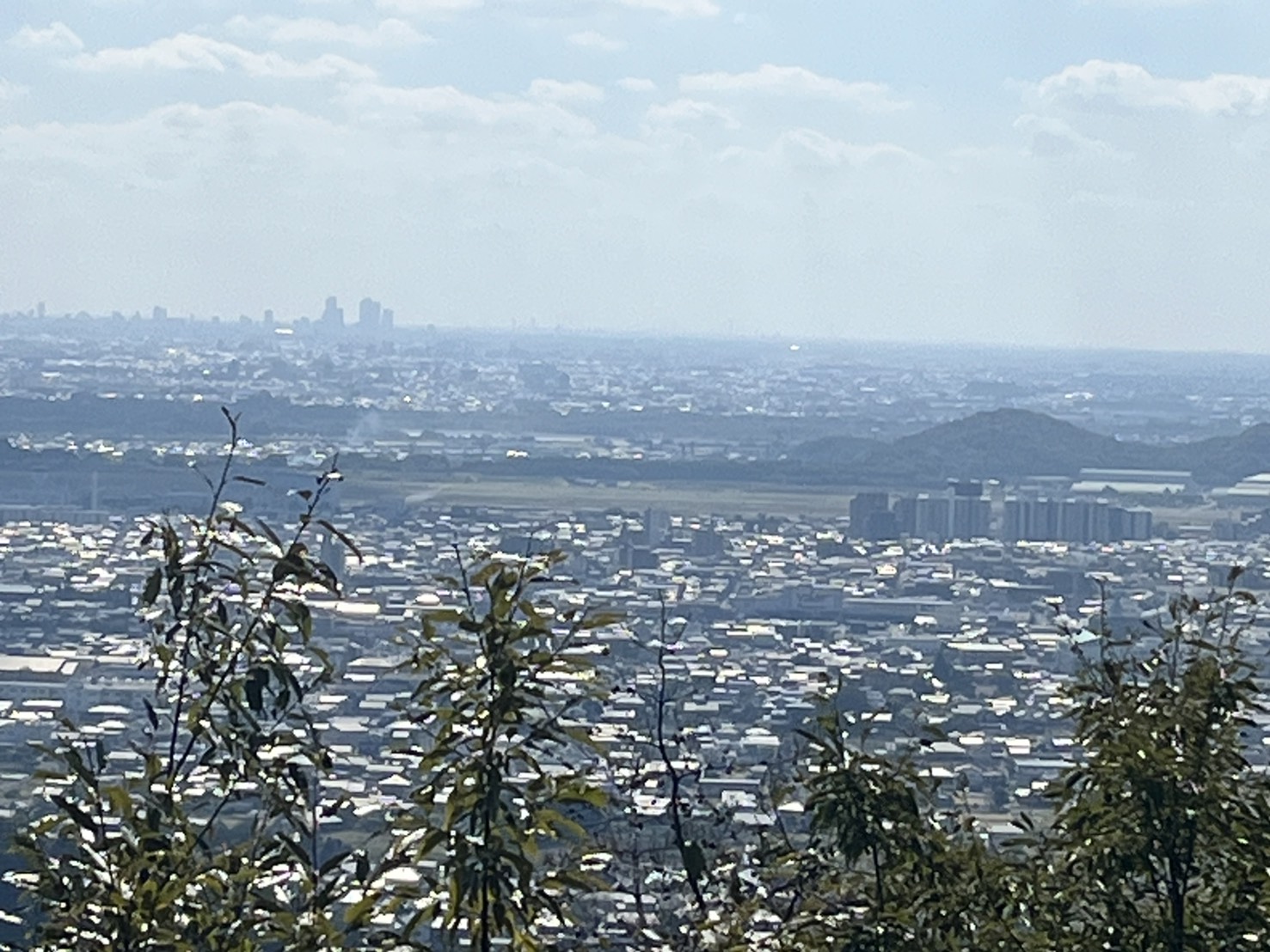 低山登山を始めました